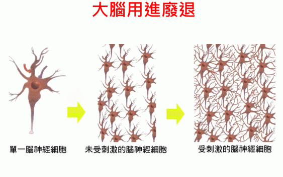 記憶運動
